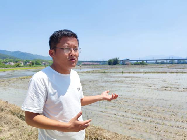 广东盛大生态农业科技有限公司程俊男在田边介绍情况