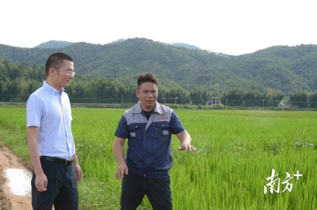 从“门外汉”到“农状元”，他们耕耘在希望的田野上-广东省农业农村厅网站