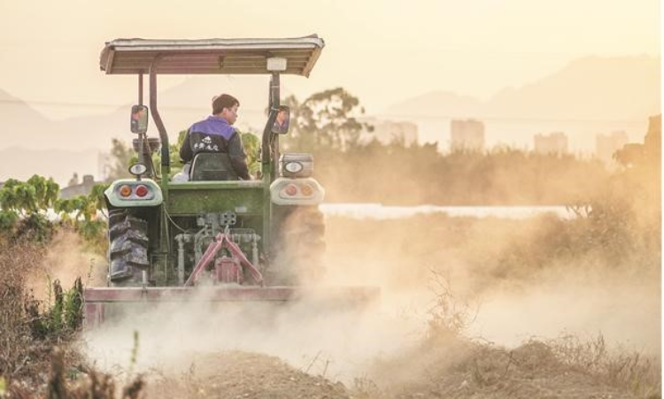 人気定番の お客様を幸せにしたい 田村農機種籾脱水機 DS-J6 斎藤農機製作所 AC100Ｖ サイトー 種もみ 6kg