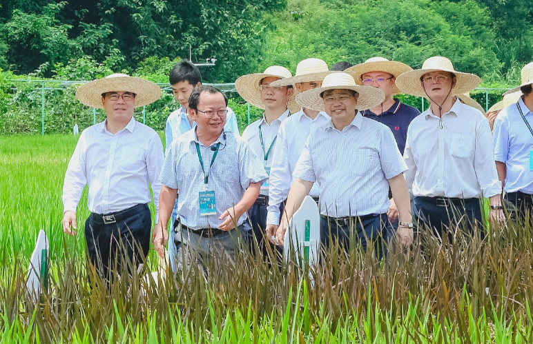 水稻产业大会.png