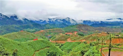 p2_b.jpg