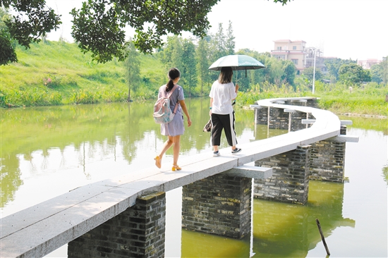 古劳镇上升村委会头渡桥的石板桥，成为当地一道靓丽的风景。