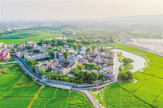 开平市发展以碉楼侨乡文化为主题特色的田园村落乡村旅游产业，形成独具碉楼侨乡特色的精品线路。图为塘口镇祖宅村。