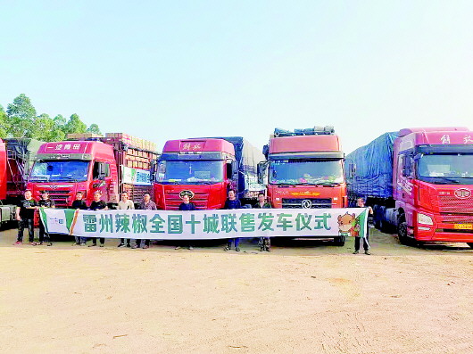 湛江.jpg