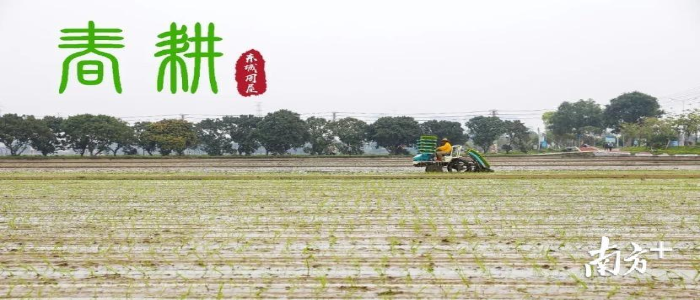 已编辑图片