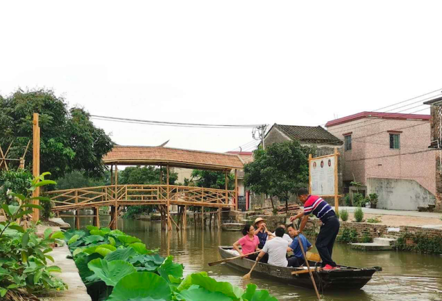 沙田水乡风光秀丽