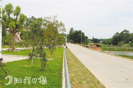 鹤城镇南星村道路实现绿化美化。