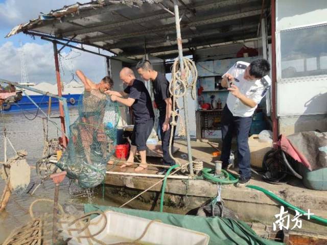 渔政执法人员和特警队员清点渔获物。通讯员供图