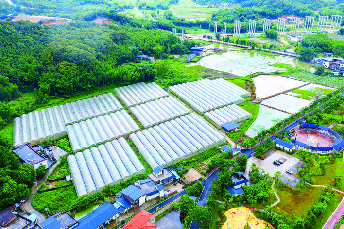 综合施策精准有效 上东蝶变省级示范村.jpg