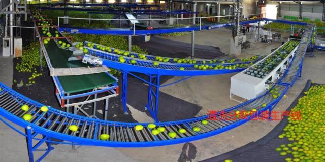 清洗分级包装生产设备线 清洗分级包装生产设备线