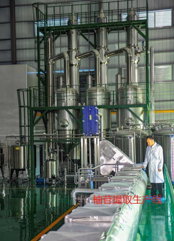 柚苷提取生产线 柚苷提取生产线