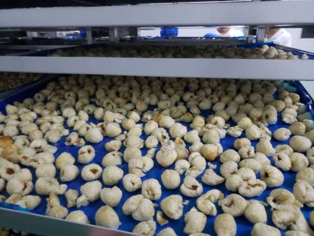 经过加工的荔枝冻干 经过加工的荔枝冻干