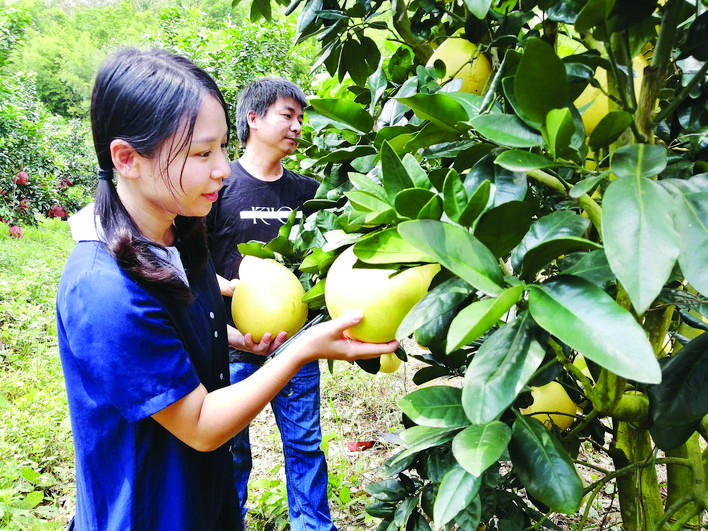 种下“甜蜜果” 闯出“甜蜜路”.jpg