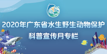 2020年广东省水生野生动物保护科普宣传月专栏