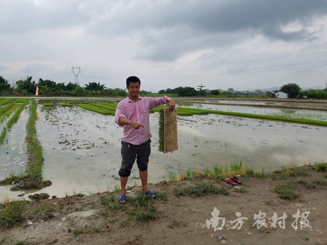 刘锡洪在田间工作