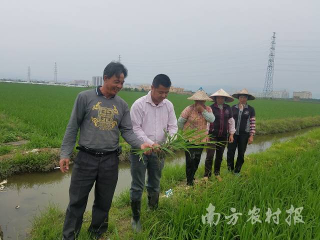 刘锡洪与社员、农民