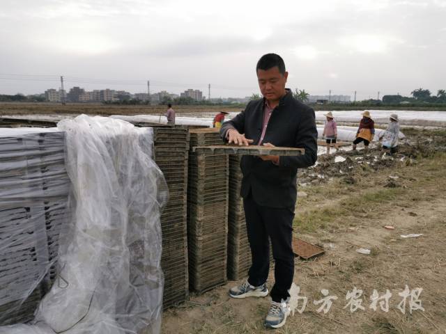刘锡洪在田间工作