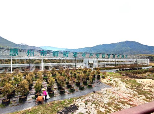 惠州市润树农业产业扶贫合作园