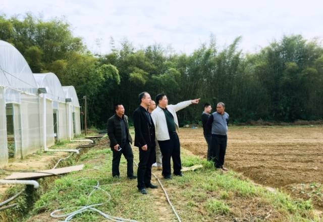 虞文树在园区介绍嘉宝果扶贫合作园情况