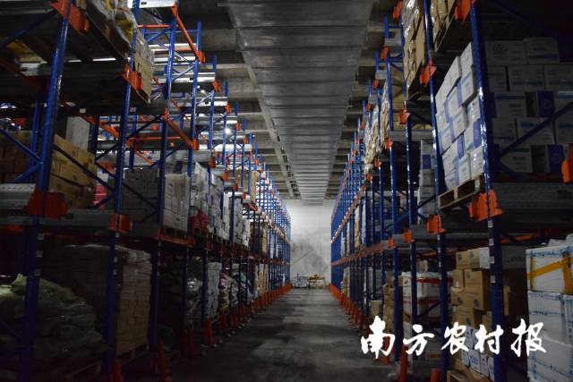 “粤西农批市场”冷藏使用容量已达4万立方米
