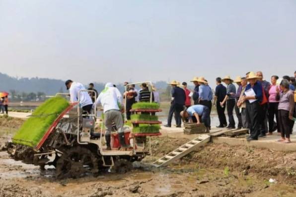 今年3月12日珠海市举办水稻机插秧侧深施肥技术推广现场会