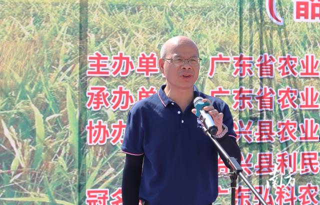 广东省农业技术推广中心副主任陈永志。
