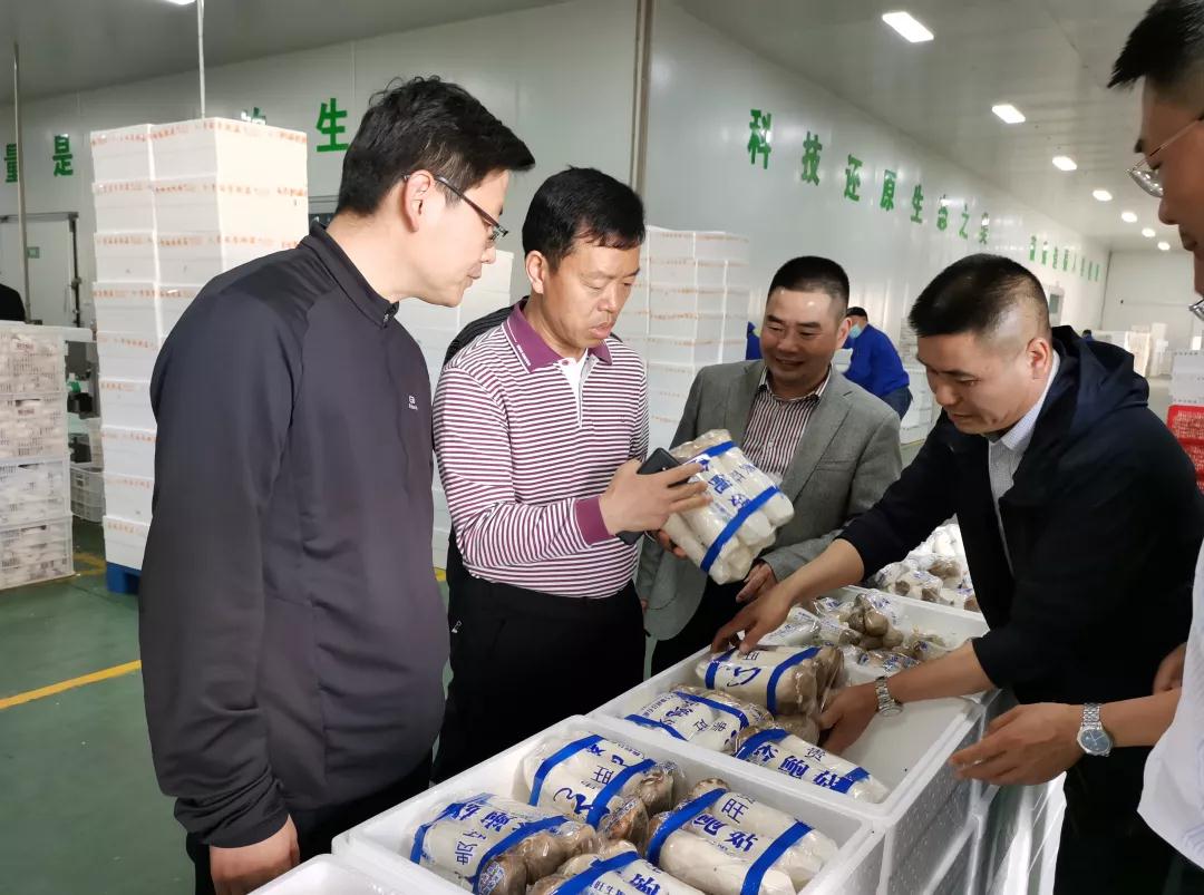 图片说明