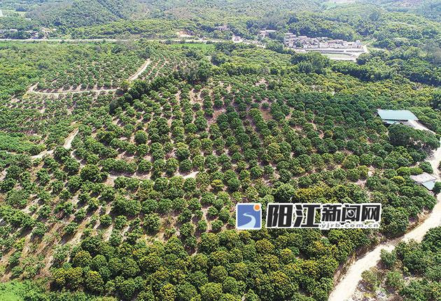 图片说明