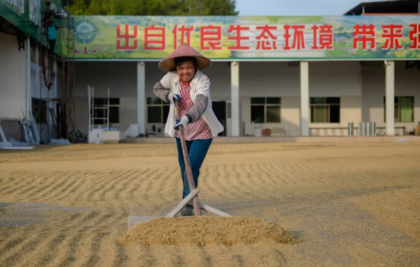 图片说明