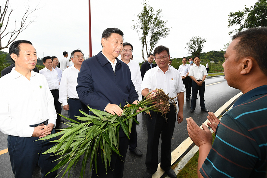 图片说明