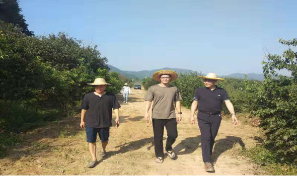 图片说明
