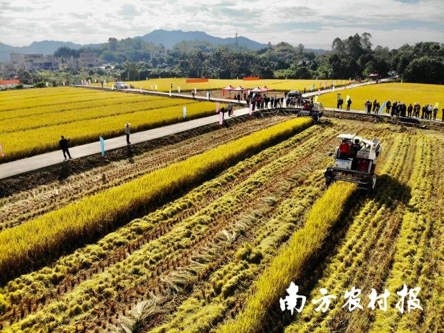 收割结束的田地整整齐齐。