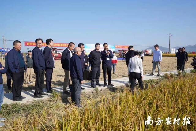 省农业农村厅相关负责人在大比武汕尾赛区现场指导。  南方农村报 柯学潜 拍摄