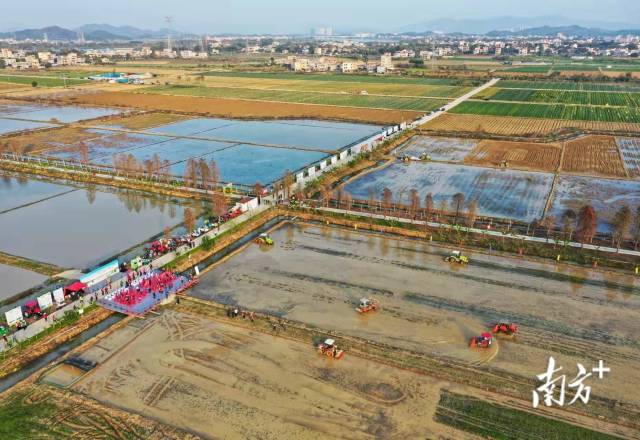 2月16日，“全省春季农业生产暨农机闹春耕现场会”在惠州市惠城区省级丝苗米产业园举行。