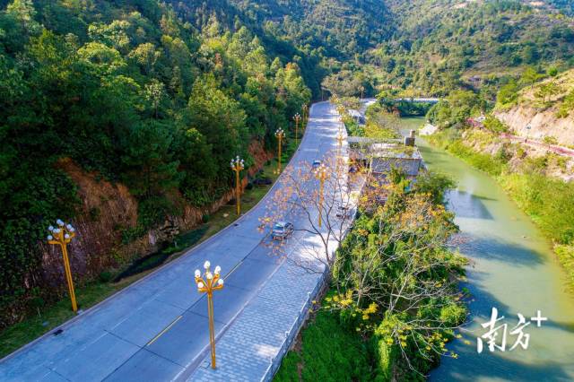 4 桃源镇稼社村通往潮州饶平县的道路上，一盏盏崭新的路灯方便村民出行。.jpg