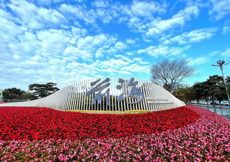 深圳前海帮扶汕尾市华侨管理区创办的苗圃基地，为城市添彩，给产业发展“造血”。.jpg