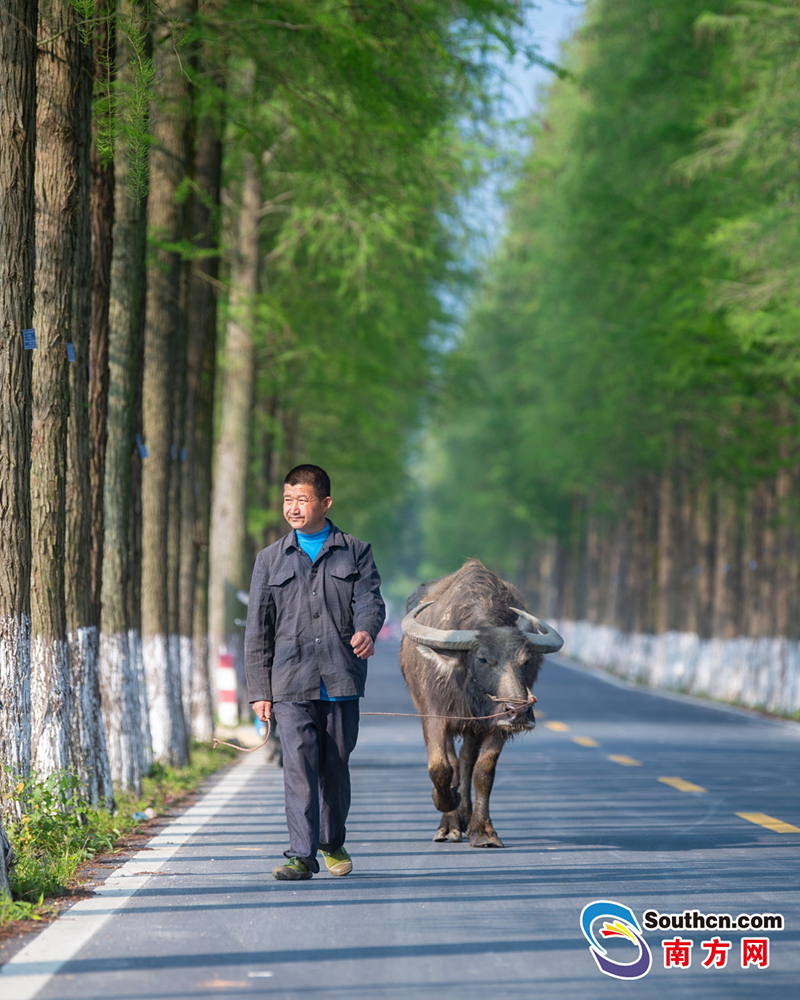 韶关始兴县道X344线被称为“最美乡村公路”。南方日报 肖雄 摄.jpg