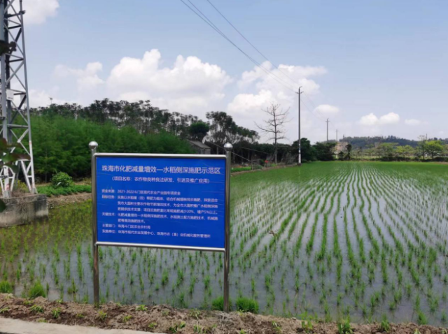 珠海市化肥减量增效-水稻侧深施肥示范区