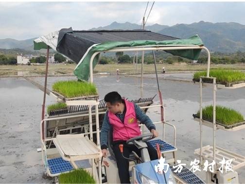 联合社农机手在乡村开展稻田插秧作业