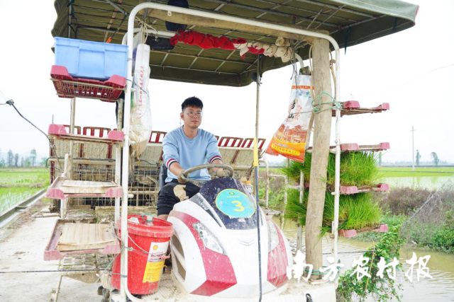 今年24岁的李锐锋,种粮更有想法。 今年24岁的李锐锋,种粮更有想法。