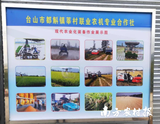 合作社实现了育秧、栽插、植保、收割、销售一条龙。 合作社实现了育秧、栽插、植保、收割、销售一条龙。