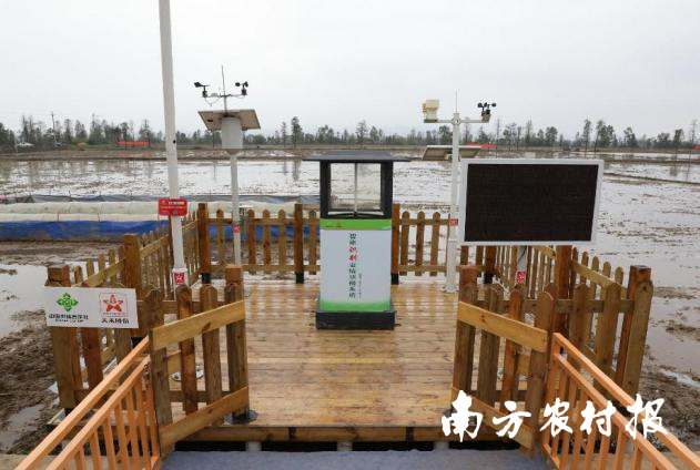 “眼睛”长在田头的智慧农业物联网系统。 “眼睛”长在田头的智慧农业物联网系统。