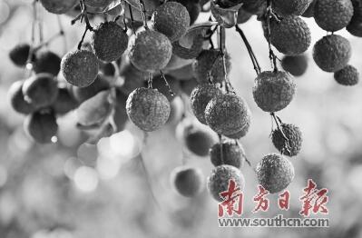 TIM截图20190531113731.jpg