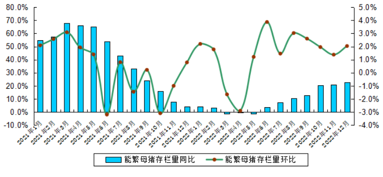 12月生猪图2.png