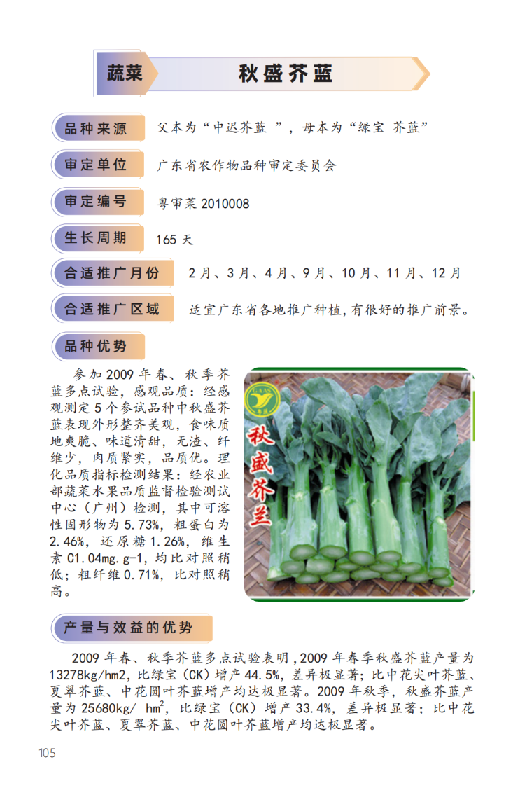 2023年主导品种：秋盛芥蓝-1.png