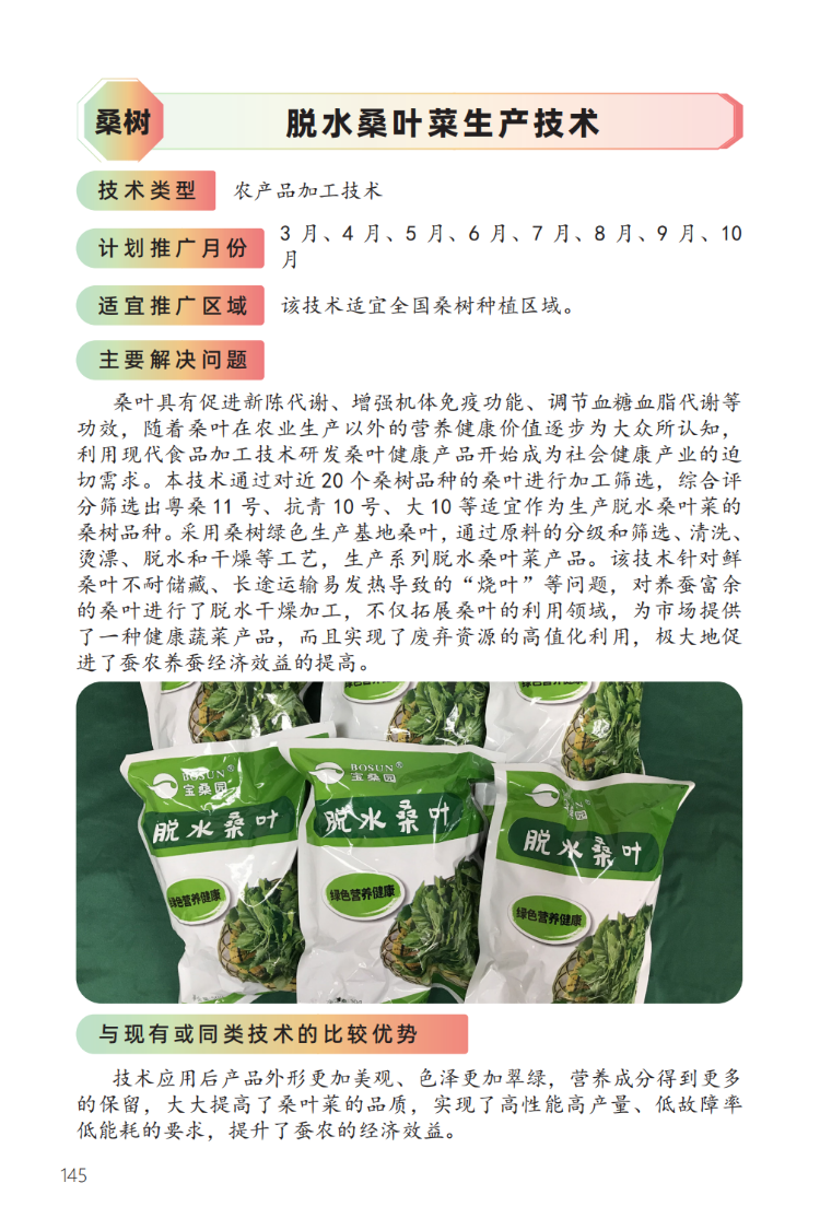 脱水桑叶菜生产技术-1.png