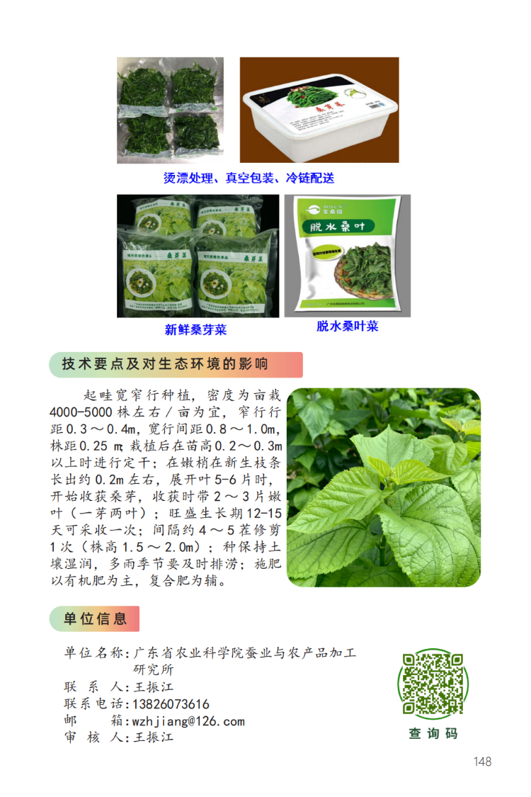 菜桑高效种植管理技术-2.png