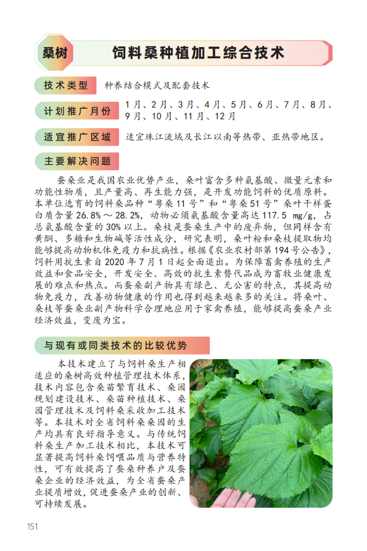 饲料桑种植加工综合技术-1.png