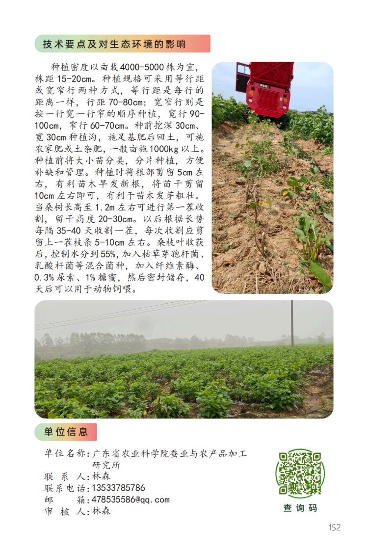 饲料桑种植加工综合技术-2.png