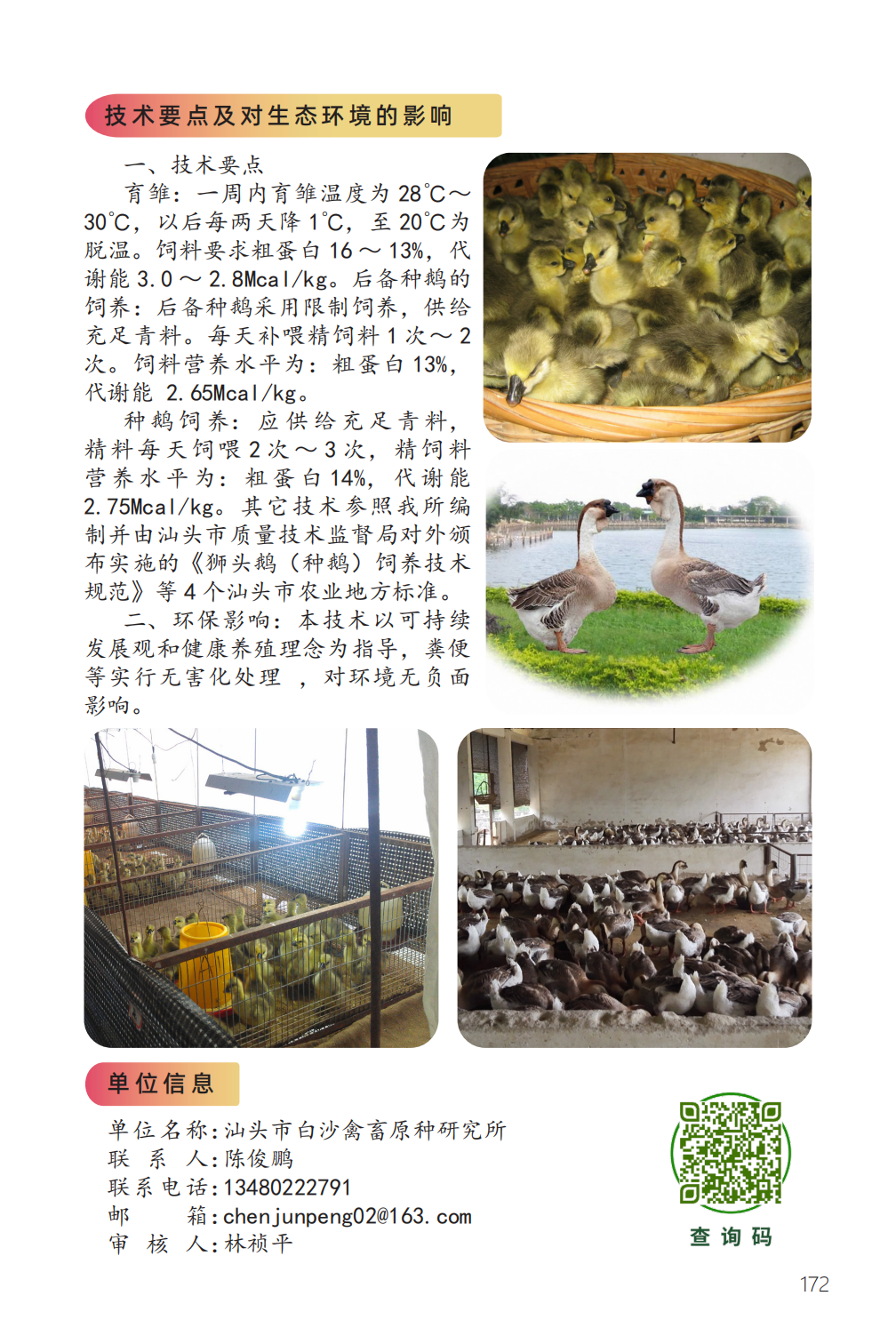 狮头鹅饲养管理技术-2.png